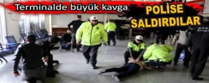 Terminalde byk kavga