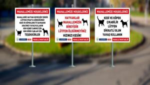 Bolu Belediyesi Hayvan Haklar Komisyonu\'ndan farkndalk projesi