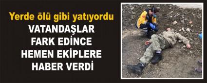 Yerde l gibi yatyordu