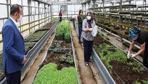 Kbrsck ile Bolu Belediyesinden ortak proje