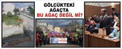 GLCKTEK AATA BU AA DEL M?