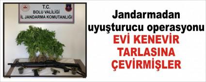 EV KENEVR TARLASINA EVRMLER