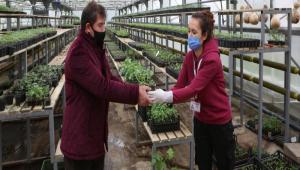 iftilerin yaralarn Bolu Belediyesi sard