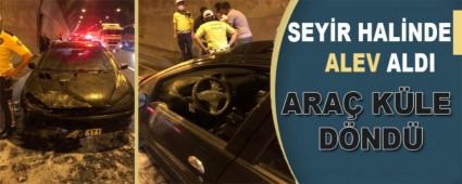 SEYR HALNDE ALEV ALDI