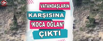 VATANDALARIN KARISINA \'KOCA OLAN\' IKTI