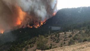 Orman yakmayalm, Afet yaamayalm