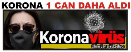 KORONA 1 CAN DAHA ALDI