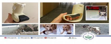 BAB AKADEMSYENLERNDEN YLK PROJES