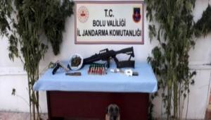 SON 1 AYDA BOLU\'DA 33 KLO ESRAR, 40 KK KENEVR YAKALANDI