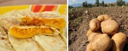 TSO K RN DAHA TESCL ETTRD