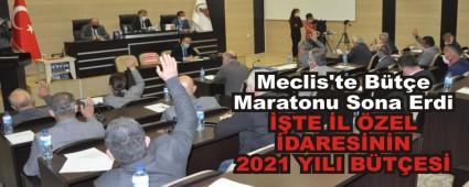 TE L ZEL DARESNN 2021 YILI BTES