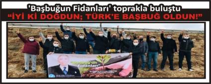 Babuun Fidanlar\' toprakla bulutu