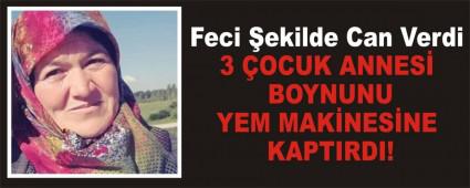 Feci ekilde Can Verdi