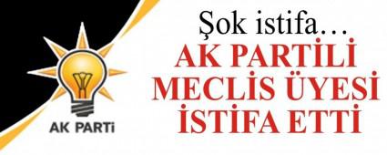 AK PARTL MECLS YES STFA ETT