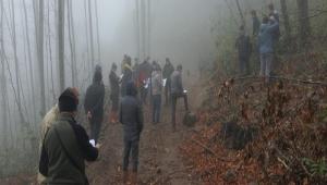 ORMAN LETME EFLNDE ETM TATBKATLARI DZENLEND