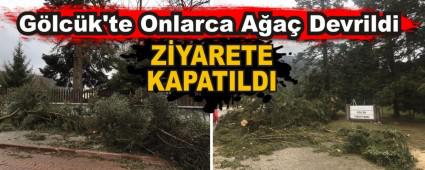 Glck\'te Onlarca Aa Devrildi