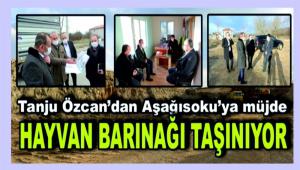 Tanju zcan\'dan Aasoku\'ya mjde