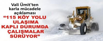 115 KY YOLU ULAIMA KAPLI DURUMDA ALIMALAR SRYOR