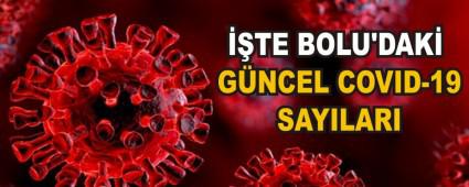 TE BOLU\'DAK GNCEL COVID-19 SAYILARI