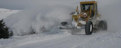 BOLU\'DA 8 KYE ULAIM SALANAMIYOR