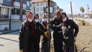 BOLU BELEDYES YZLERCE AACI TOPRAKLA BULUTURUYOR