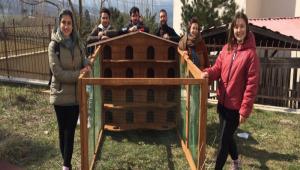 BAB BOLPAT TOPLULUU\'NDAN KED EV