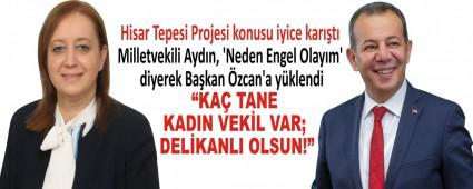 Hisar Tepesi Projesi konusu iyice kart