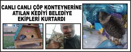 CANLI CANLI P KONTEYNERNE ATILAN KEDY BELEDYE EKPLER KURTARDI