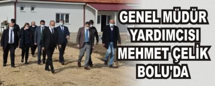 BOLU\'DA NCELEMELERDE BULUNDU