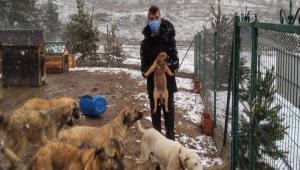 BARINAI VE CAN DOSTLARI SAHPLENYORLAR