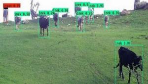 ORKEM PROJES HAYATA GERLD