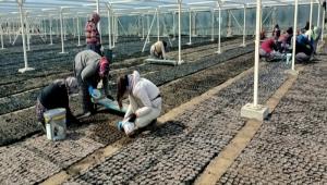 BU YIL BOLU FDANLIINDA 400 BN FDAN RETM GEREKLEECEK