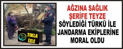 AZINA SALIK ERFE TEYZE