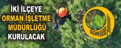 K LEYE ORMAN LETME MDRL KURULACAK