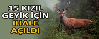 15 KIZIL GEYK N HALE AILDI