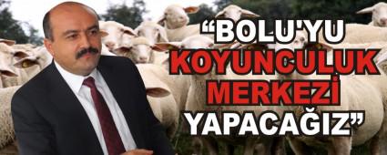 BOLU\'YU KOYUNCULUK MERKEZ YAPACAIZ