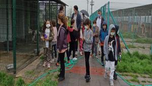 SAKARYA LKOKULU RENCLERDEN VETERNER LER MDRL\'NE ZYARET