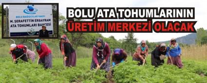 BOLU ATA TOHUMLARININ RETM MERKEZ OLACAK