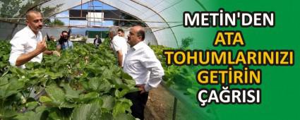 METN\'DEN ATA TOHUMLARINIZI GETRN ARISI