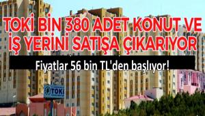 TOK 1.380 ADET KONUT VE  YERN SATIA IKARIYOR