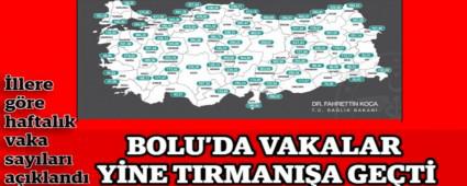 BOLU\'DA VAKALAR YNE TIRMANIA GET