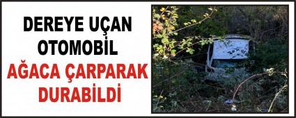 DEREYE UAN OTOMOBL AACA ARPARAK DURABLD