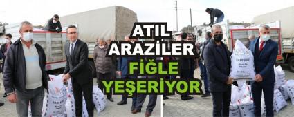 ATIL ARAZLER FLE YEERYOR