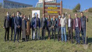 BAB ADALET ORMANI GENLYOR