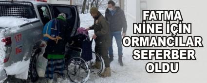 FATMA NNE N ORMANCILAR SEFERBER OLDU