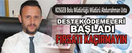 DESTEK DEMELER BALADI