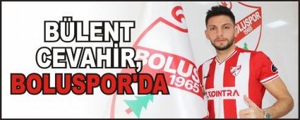 BLENT CEVAHR, BOLUSPOR\'DA
