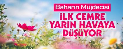 lk cemre 19 ubatta dyor