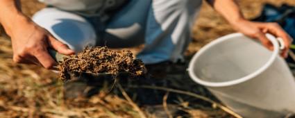 YAPTIR ANALZN;CEBN DE TOPRAINI DA KORU!