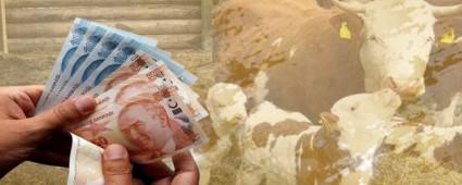 ​BOLU RETCSNE DESTEKLER BTMYOR